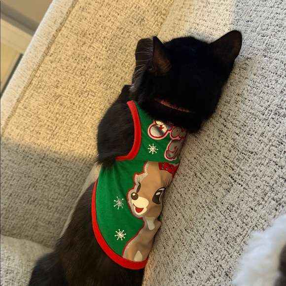 Foxy Doe Dog/Cat Tank Top - Picture 3 of 11